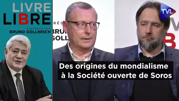 Des origines du mondialisme à la Société ouverte de Soros - Livre-Libre - P Hillard / P-A Plaquevent