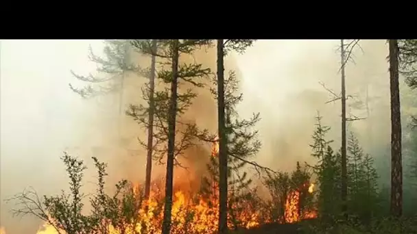 La canicule se déplace accélérant la fonte des glaces au Groenland