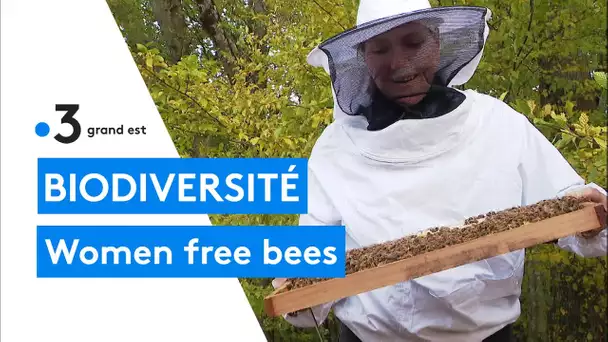 Des femmes et des abeilles sentinelles de la biodiversité