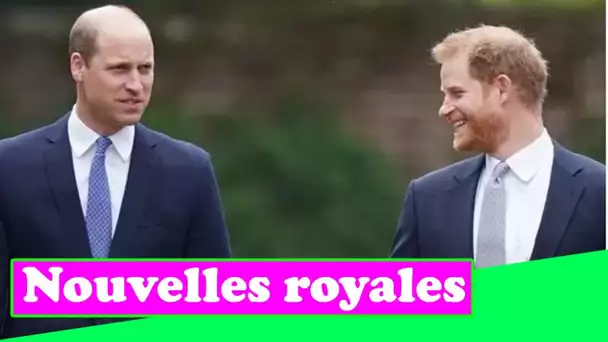 Le prince Harry 's'est tourné vers William pour approbation' car Duke avait besoin d'indices sur 'qu