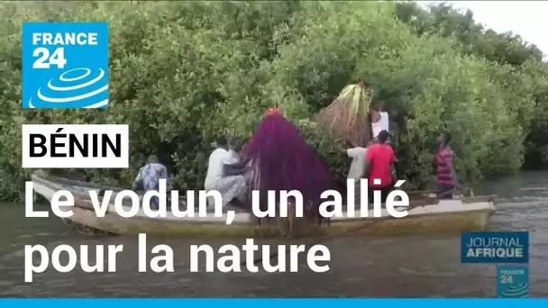 Au Bénin, la tradition vodun aide à la préservation de la nature • FRANCE 24