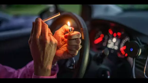 Feux de forêt : ces maires qui veulent interdire la cigarette en voiture pendant l'été