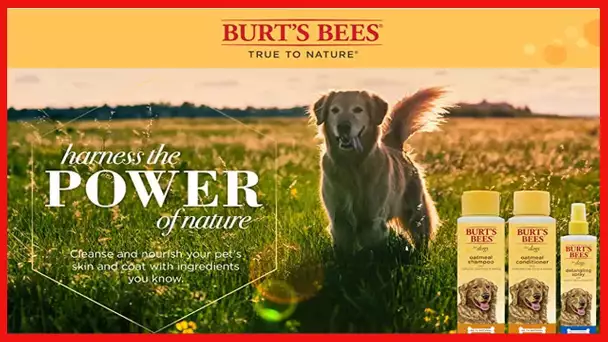 Burt's Bees for Dogs Natural Deodorizing Spray for Dogs | Best Dog Spray for Smelly Dogs