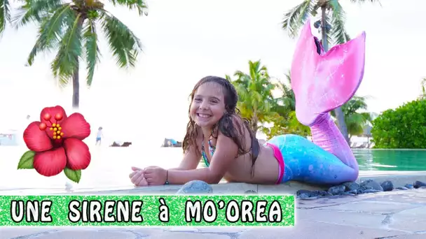 SIRENE à MO&#039;OREA sous la pluie ! 🐠 / Tahiti Quest / Moorea Family vlog / Tahiti Vlog