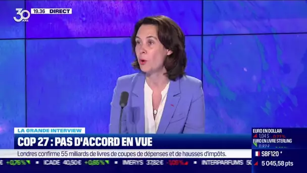 Le rôle des entreprises dans l'action environnementale