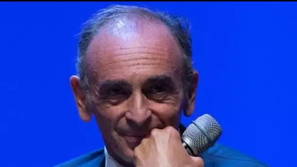 Éric Zemmour “contre le mariage pour tous” : une star de la série Clem monte au...