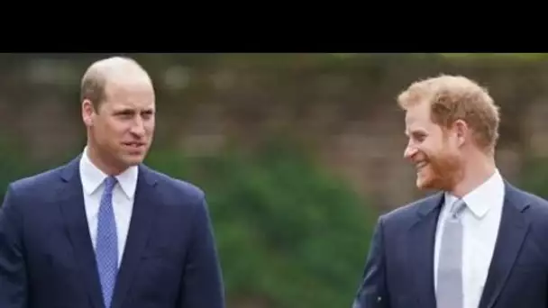 Les princes Harry et William bientôt réconciliés ? Un proche fait des...