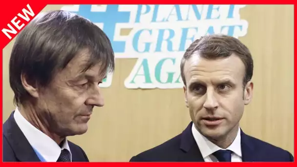 ✅  « C’est le boulet » : Nicolas Hulot fustigé par un proche d’Emmanuel Macron