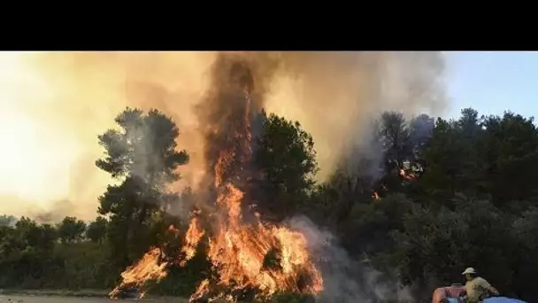 Incendies en Europe : les feux touchent la Grèce, l'Espagne et la République tchèque