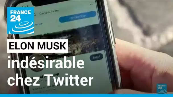 Elon Musk indésirable chez Twitter : 57,5% des utilisateurs favorables à son départ de la direction