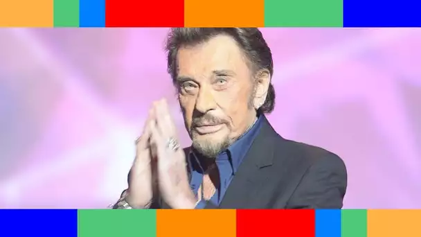 Johnny Hallyday : cette prédiction de Joséphine Baker qui s'est réalisée