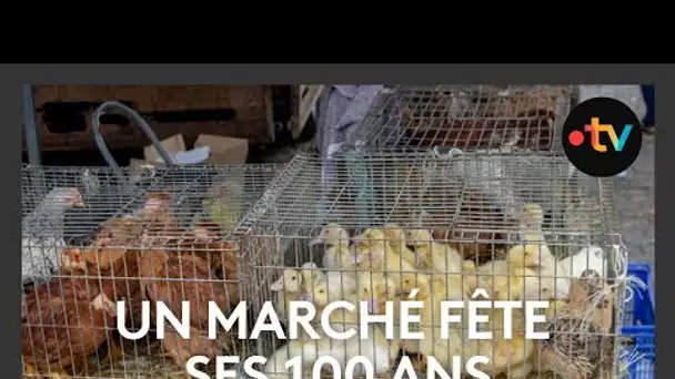 En Berry, le marché de Saint-Aout fête ses 100 ans !