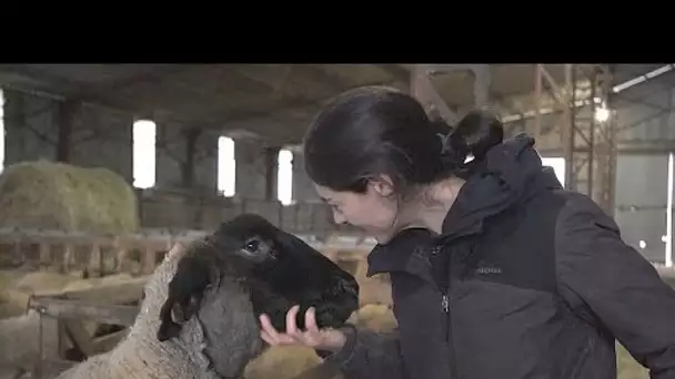 Agriculteurs français : les raisons de la colère