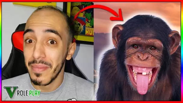 J'ADOPTE UN CHIMPANZÉ !!! JE L’APPELLE LIA 🐵