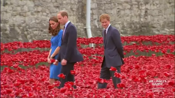 LIGNE ROUGE - Harry, éternel numéro deux de la monarchie britannique