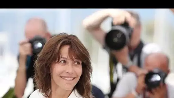 Sophie Marceau en mal d’amour, l’actrice emploie les grands moyens pour trouver...