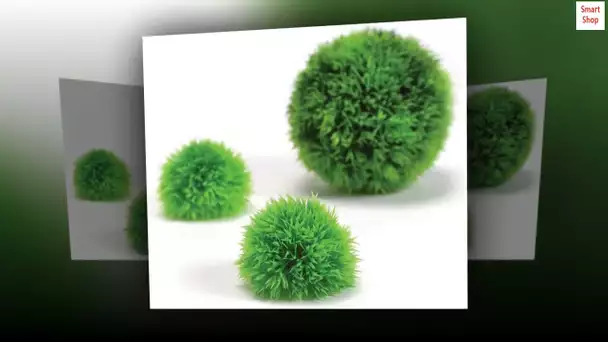 biOrb Aquatic Topiary Pack