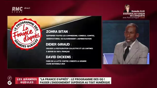 "La France d'après: le programme des GG": la proposition de David Dickens