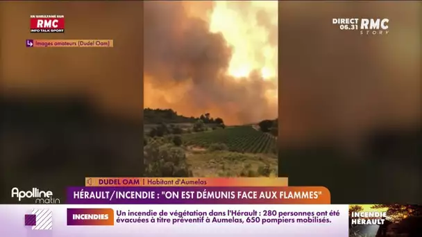 Incendie dans l'Hérault: "Les flammes étaient à 200 mètres de nous", raconte un habitant