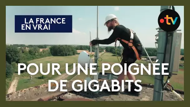 "Pour une poignée de gigabits" : SCANI, un fournisseur d'accès internet coopératif local