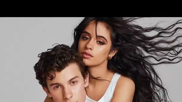 Shawn Mendes et Camila Cabello : Le couple annonce sa séparation