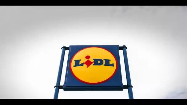 Face à la baisse du pouvoir d'achat, Lidl réduit ses marges