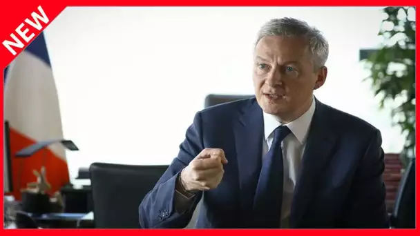 ✅  « On s'en serait passé » : Bruno Le Maire embarrasse Emmanuel Macron