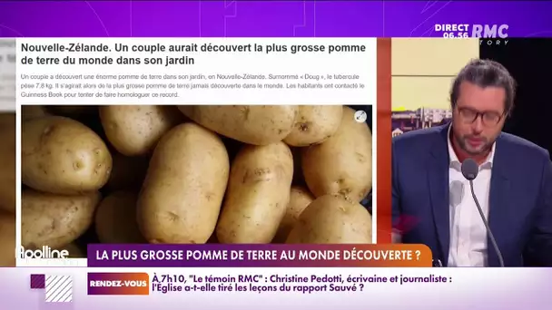 7,8 kilogrammes, c'est le poids de la plus grosse pomme de terre du monde