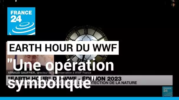 Earth Hour du WWF : "c’est avant tout une opération symbolique" • FRANCE 24