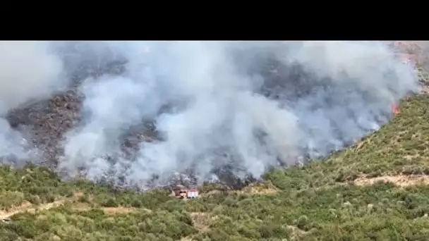 La Bosnie-Herzégovine et l'Albanie menacées par les flammes