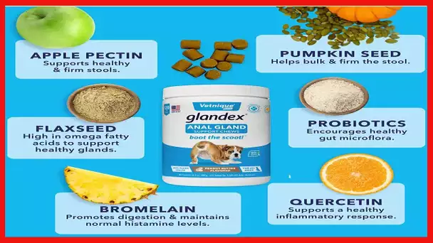 Glandex Anal Gland Soft Chew Treats with Pumpkin for Dogs Chews with Digestive Enzymes, Probiotics F