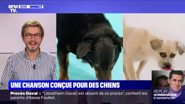 Noël: une chanson pour les chiens