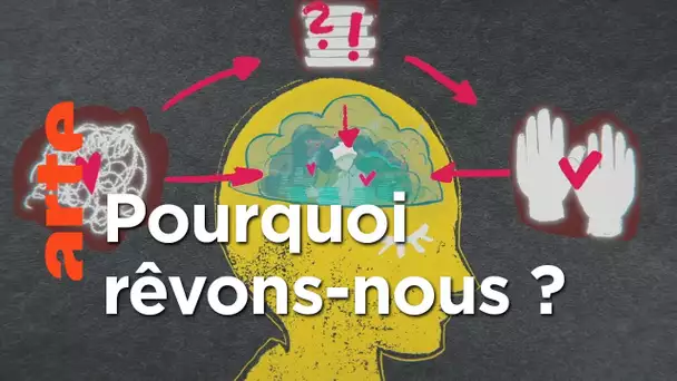 Rêvons-nous assez ? | 42, la réponse à presque tout | ARTE