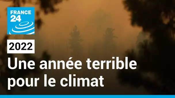 Retour en IMAGES: 2022, déjà une année terrible pour le climat • FRANCE 24