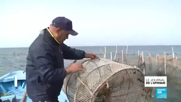 En Tunisie, la Charfiya, méthode de pêche ancestrale est en danger