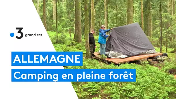 Camping : ces Allemands dorment en pleine forêt