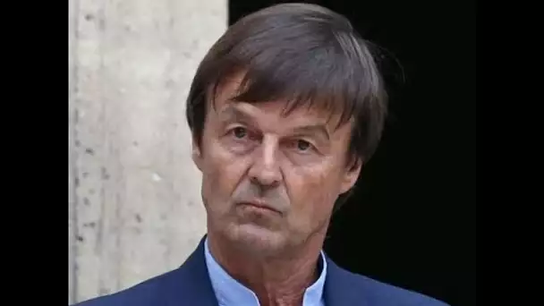 Nicolas Hulot accusé de viol : que sait-on sur ces nouveaux témoignages ?