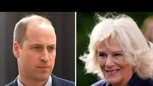 Le « tempérament » du prince William a stupéfait Camilla en entrant dans l'entreprise alors que le j