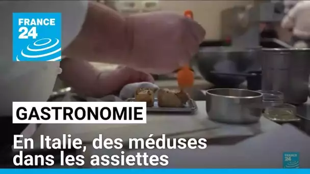 Gastronomie italienne : des méduses dans les assiettes • FRANCE 24