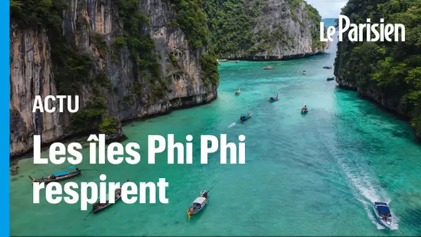Thaïlande : l’écosystème des îles Phi Phi renaît grâce à la pandémie
