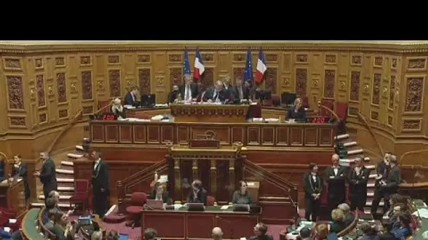 Réforme des retraites: le Sénat adopte le texte par 195 contre 112