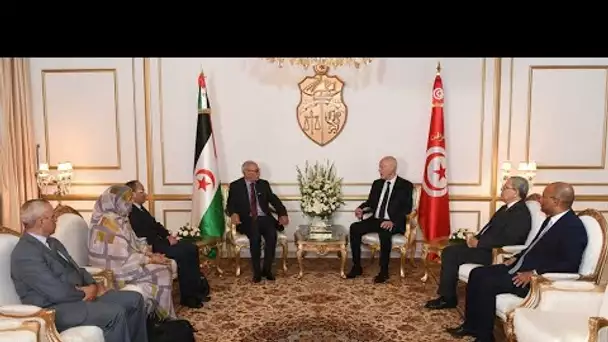 Sahara occidental : le Maroc et la Tunisie rappellent leurs ambassadeurs respectifs • FRANCE 24