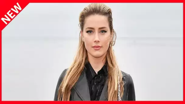 ✅  Amber Heard est convaincue qu'Elon Musk l'espionnait à son insu