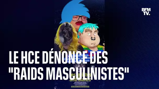 Les hommes de 25 à 34 ans ont des opinions plus masculinistes que leurs aînés, selon le HCE