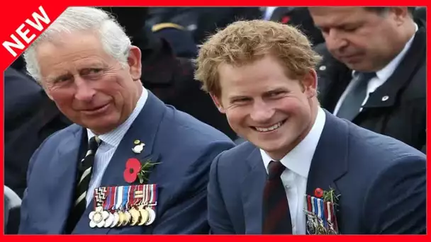 ✅  Ça va mieux entre Harry et William… mais le prince Charles fulmine