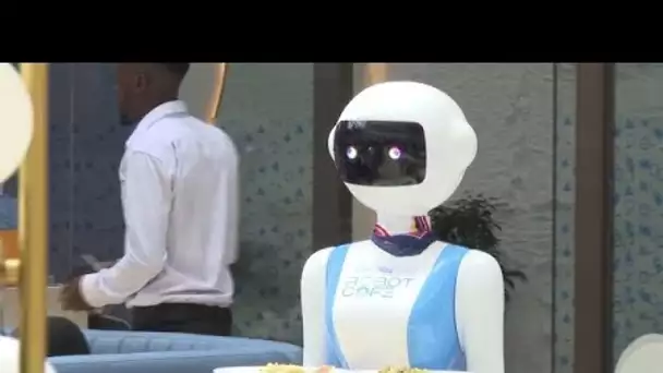 No Comment : des robots serveurs dans un restaurant au Kenya