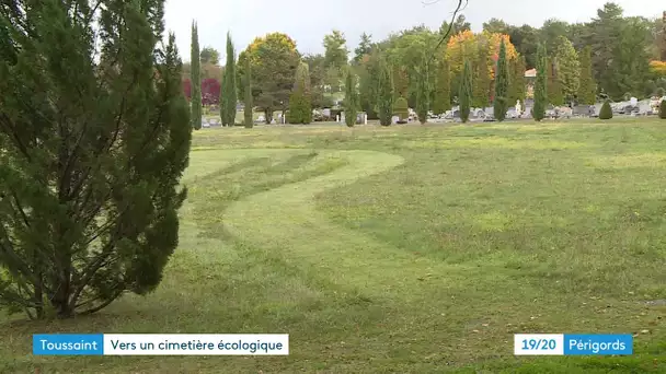 Toussaint : vers un cimetière écologique ...