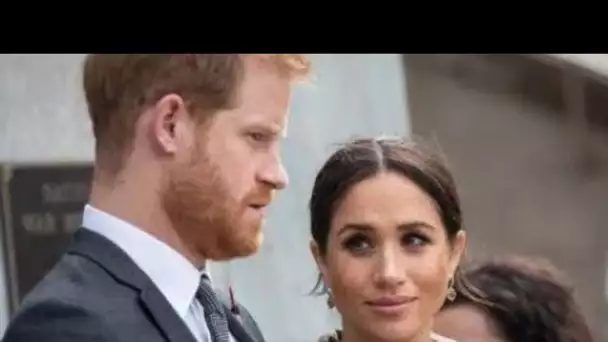 Meghan et Harry sont invités à faire un "bon travail précieux" après le lancement d'UNE AUTRE batail