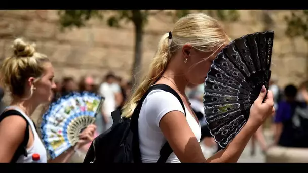 Canicule : comment les habitants de Montélimar essaient de supporter la chaleur