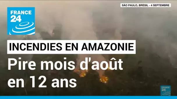 Brésil : pire mois d'août en 12 ans pour les incendies en Amazonie • FRANCE 24